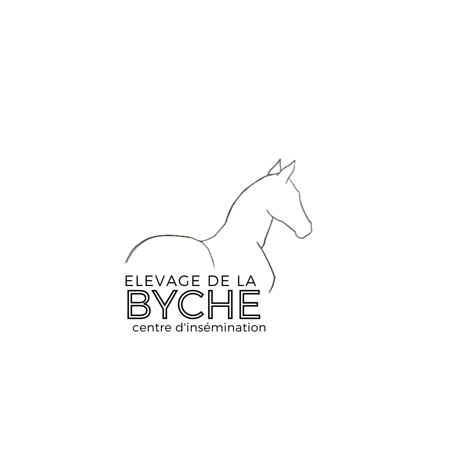 Horse Games for all Skill. Elevage de la Byche